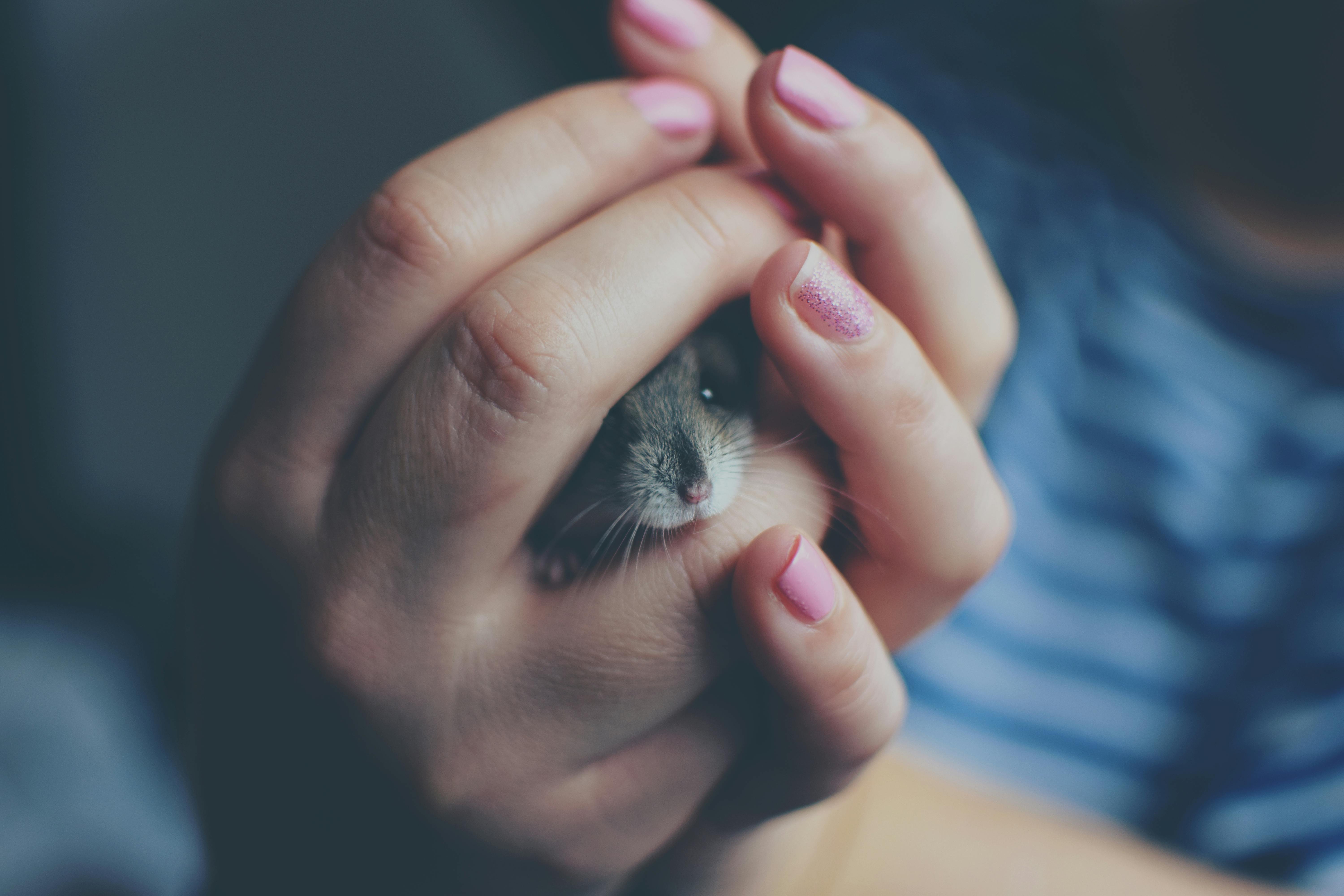 Effective Ways to Nurture Your Rainbow Parrot in 2025: Explore Proven Tips!