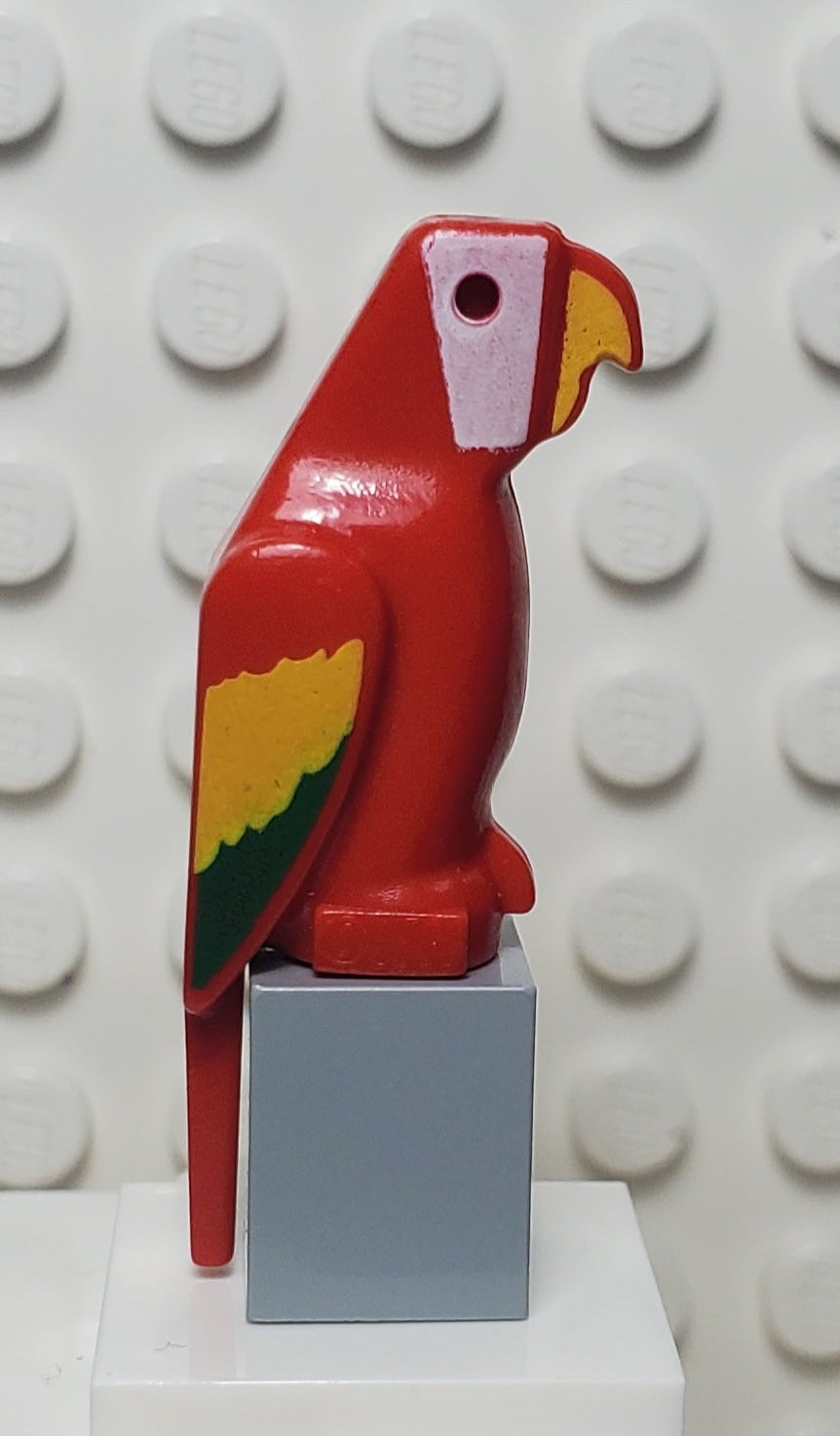 Colorful Lego Parrot