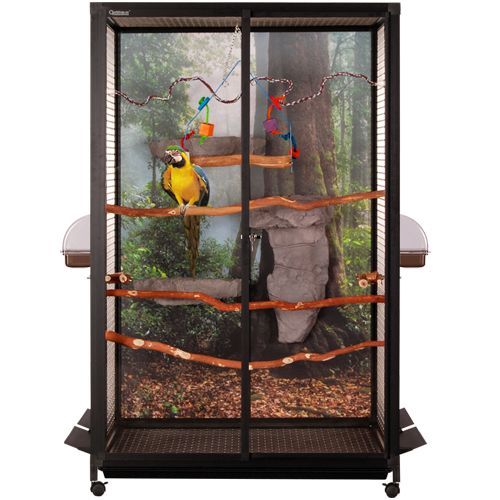 Stylish Parrot Cages