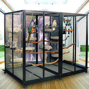 Different Styles of Parrot Cages