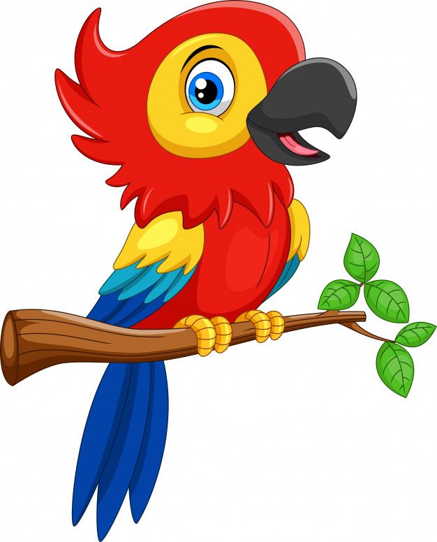 Colorful Parrot Cartoon