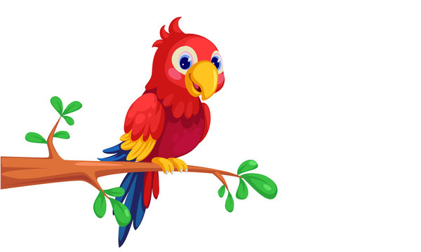 Funny Parrot Animation